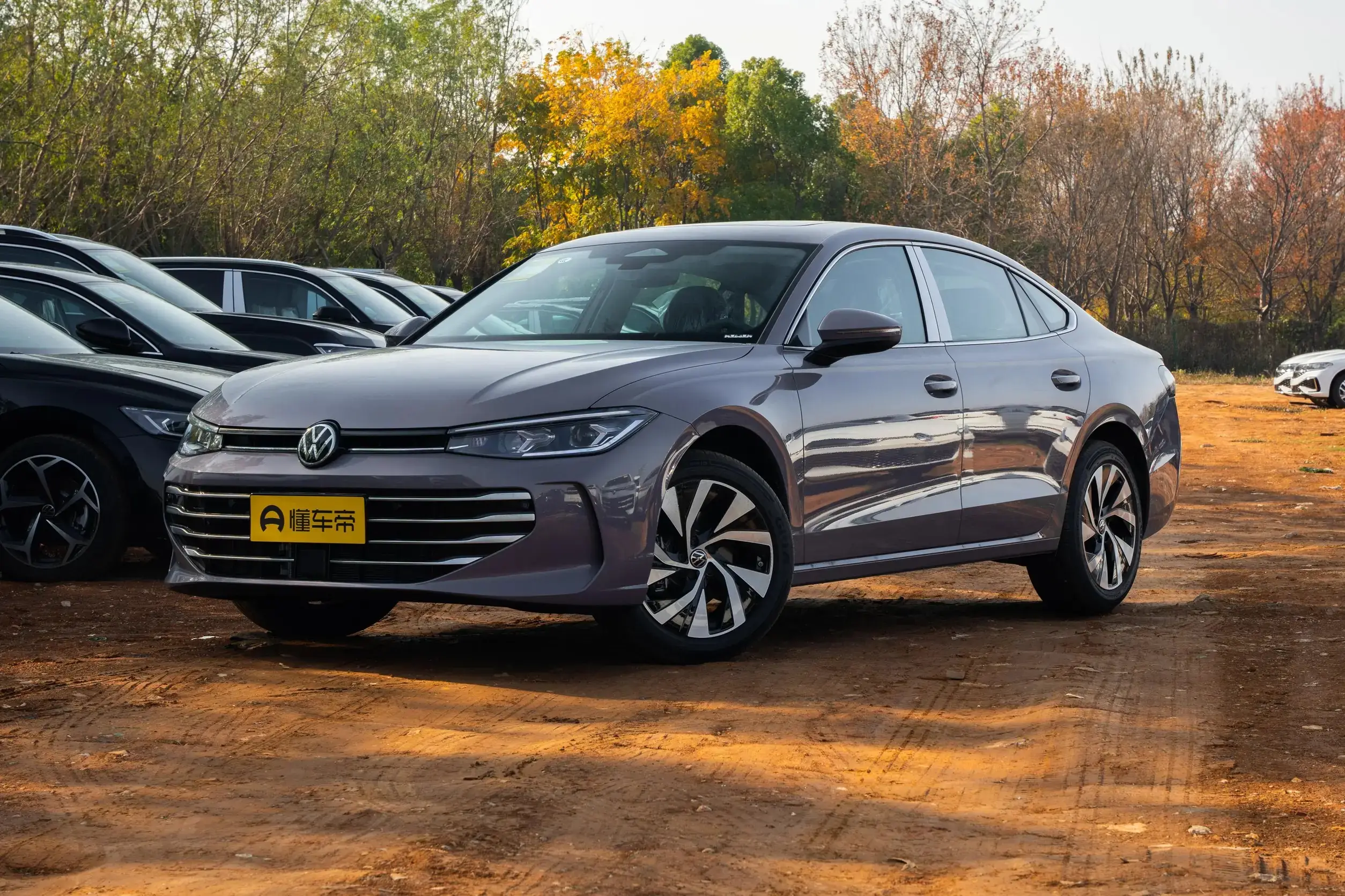 VW Passat