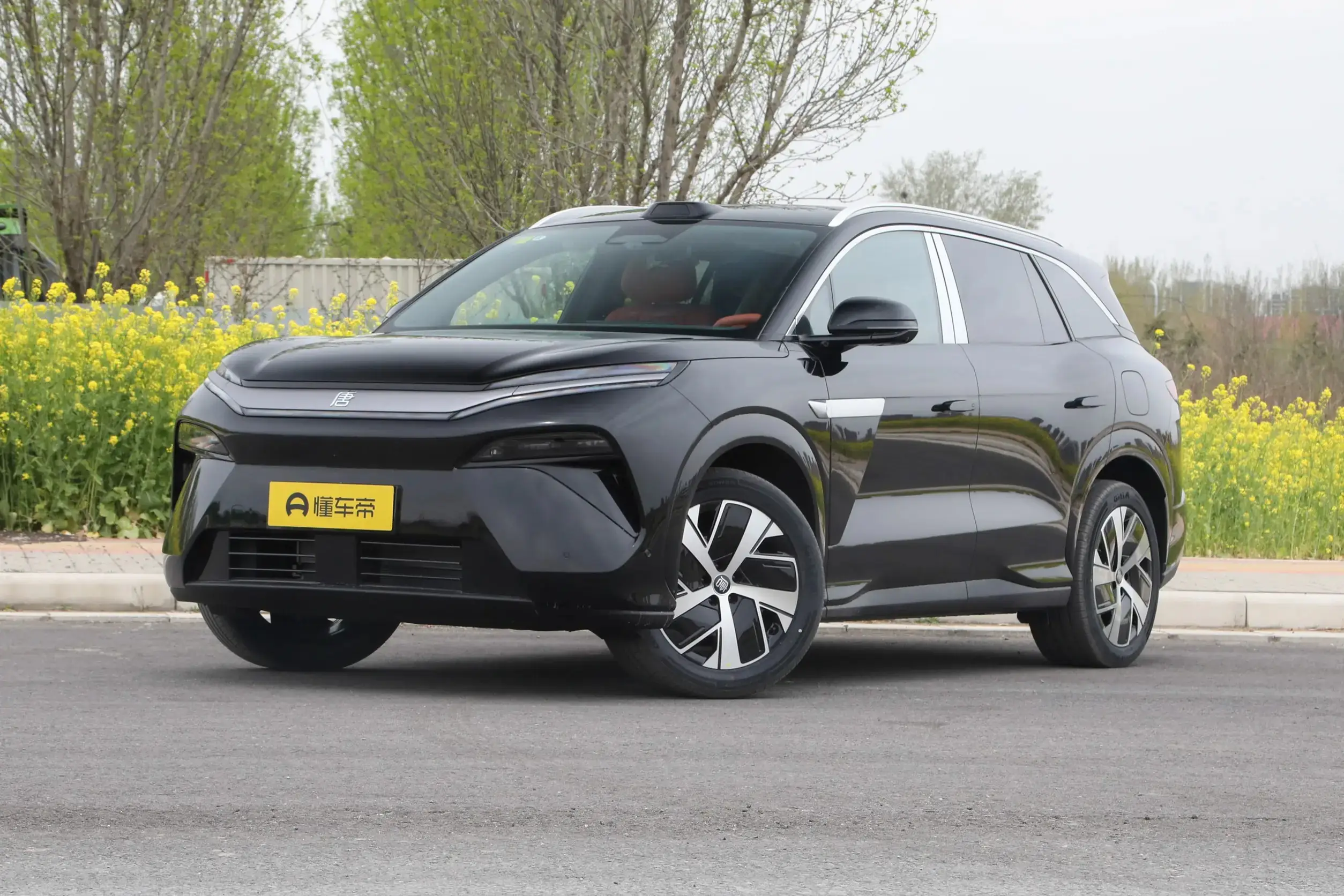 BYD Tang L EV